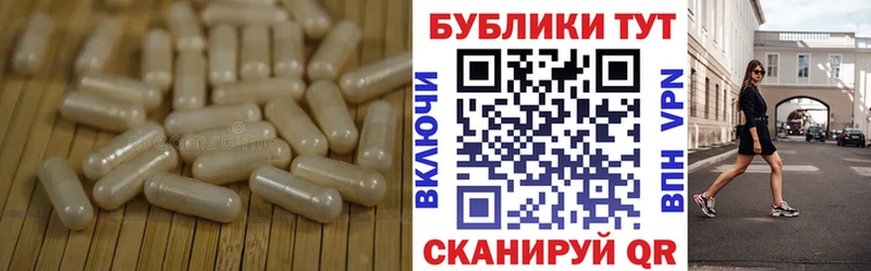 Ecstasy Punisher  Купить где  Малгобек 