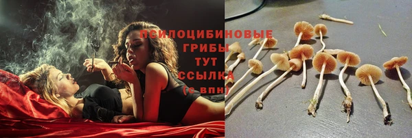 прущие крисы Мегион